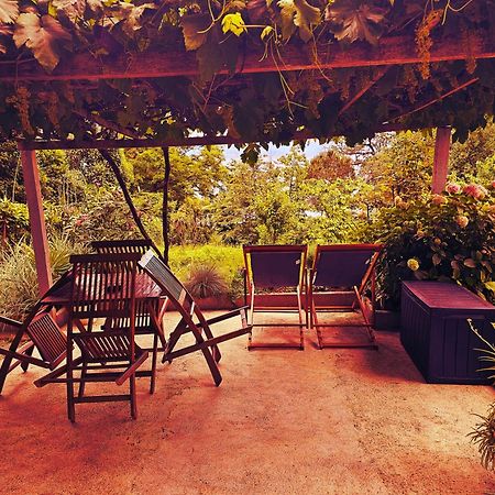 Studio Apartman Villa Gianna Lovran Exterior photo